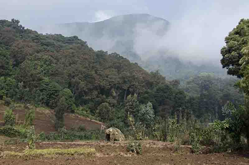 20 - Ruanda - parque nacional de los volcanes - paisaje